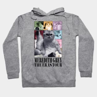Meredith Grey Eras Tour Cat Hoodie
